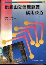 微机中文信息处理实用技巧