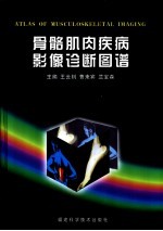 骨骼肌肉疾病影像诊断图谱