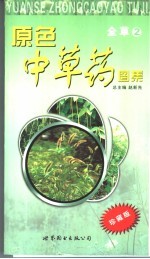 原色中草药图集 珍藏版 全草 2