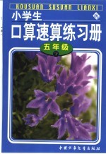 小学生口算速算练习册 五年级 下