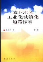 农业地区工业化城镇化道路探索 （下卷）