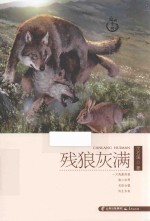 盛世中国 残狼灰满