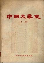 中国文学史 下