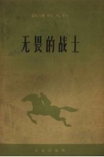 无畏的战士