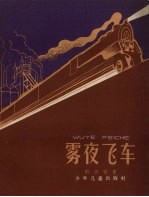 雾夜飞车