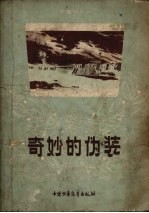 奇妙的伪装