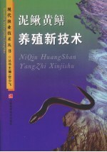 泥鳅黄鳝养殖新技术