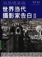世界当代摄影家告白 2 当恐慌来临