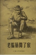 老脑筋开了窍 短篇小说选集