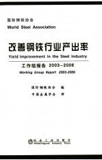 改善钢铁行业产出率 工作组报告2003-2006