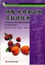 杨梅 枇杷新品种及栽培技术