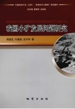 我国小矿发展问题研究