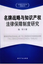 名牌战略与知识产权法律保障制度研究