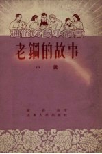 老钢的故事 小说
