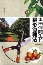 果树伴随生长整形修剪法