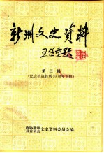 新洲文史资料 第3辑 纪念抗日战争胜利五十周年专辑