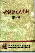 岳阳县文史资料 第1辑