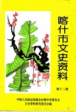 喀什市文史资料 第12辑