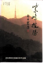 紫峰揽胜