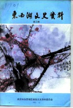 东西湖文史资料 第3辑