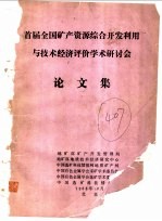 首届全国矿产资源综合开发利用与技术经济评价学术研讨会论文集