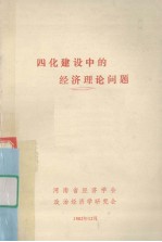 四化建设中的经济理论问题