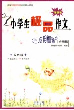 小学生极品作文 应用橱窗 双色版