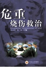 危重烧伤救治