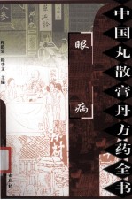 中国丸散膏丹方药全书 眼病
