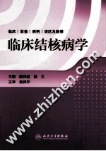 临床结核病学
