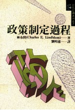 政策制定过程