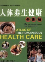 人体养生健康全图解 下
