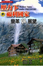 压力下的福利国家 变革与展望