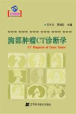 胸部肿瘤CT诊断学
