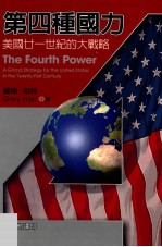第四种国力 美国廿一世纪大战略