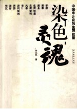 染色灵魂 中国审计官的生死较量