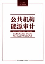 公共机构能源审计