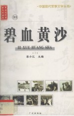 碧血黄沙 3