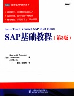 SAP基础教程