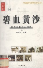 碧血黄沙 4