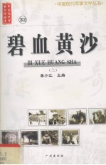 碧血黄沙 2