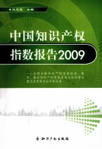 中国知识产权指数报告 2009