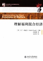 理解福利混合经济