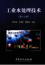 工业水处理技术 第13册