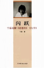 闪跃 宁磊说解《道德经》、《大学》