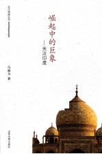 崛起中的巨象