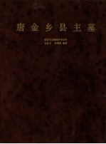 唐金乡县主墓