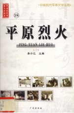 平原烈火 2