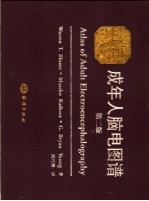 成年人脑电图谱 第2版