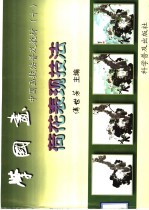 学国画 中国画技法普及教材 10 荷花表现技法